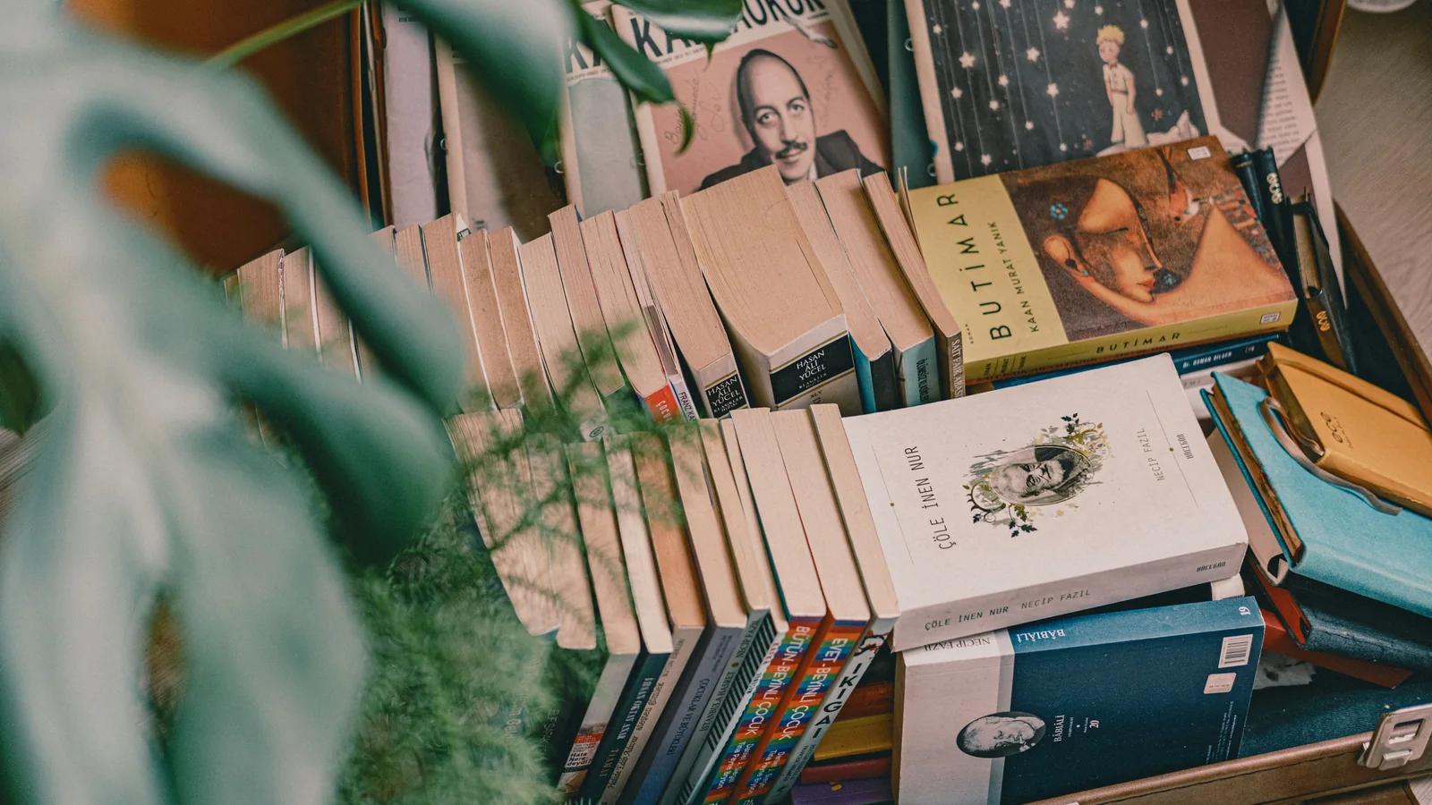 An assortment of paperback books in a case, representing choosing between hardcover and paperback