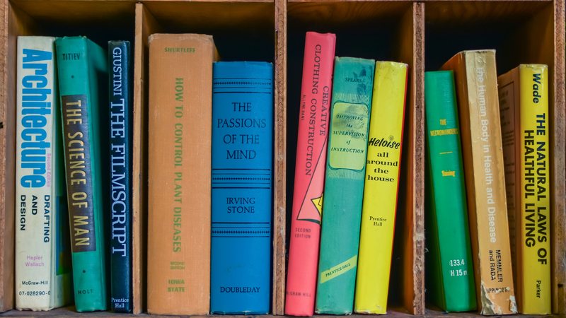 Book spines lined up on a shelf, representing book spine design