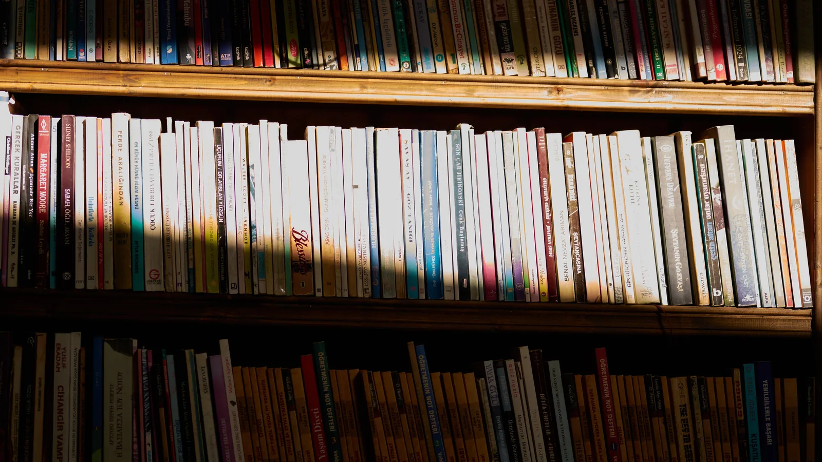Rows of books on wooden shelves, representing a rebranded backlist series