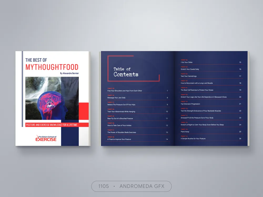 Corporate Document design by Andromeda GFX. corporate document design, report design, agency report, corporate design.