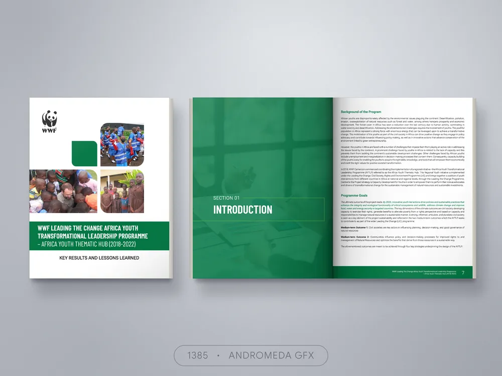 Corporate Document design by Andromeda GFX. corporate document design, report design, agency report, corporate design.