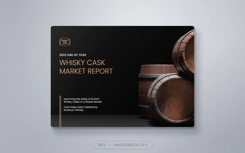 Business design by Andromeda GFX. business design, report design, agency report, corporate design.
