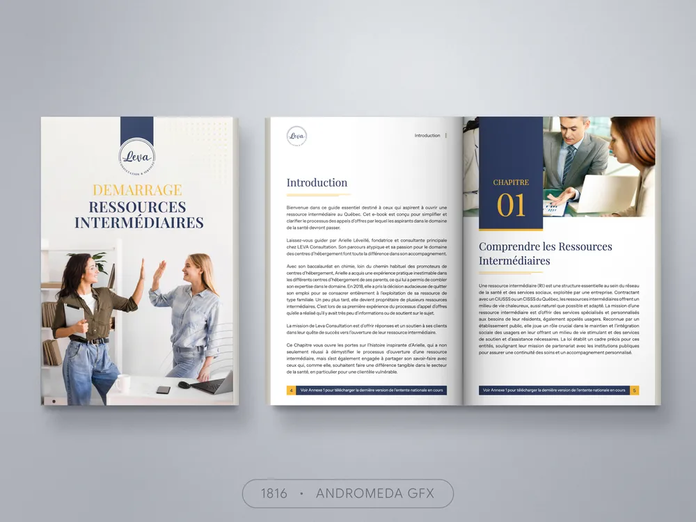 Business design by Andromeda GFX. business design, report design, agency report, corporate design.