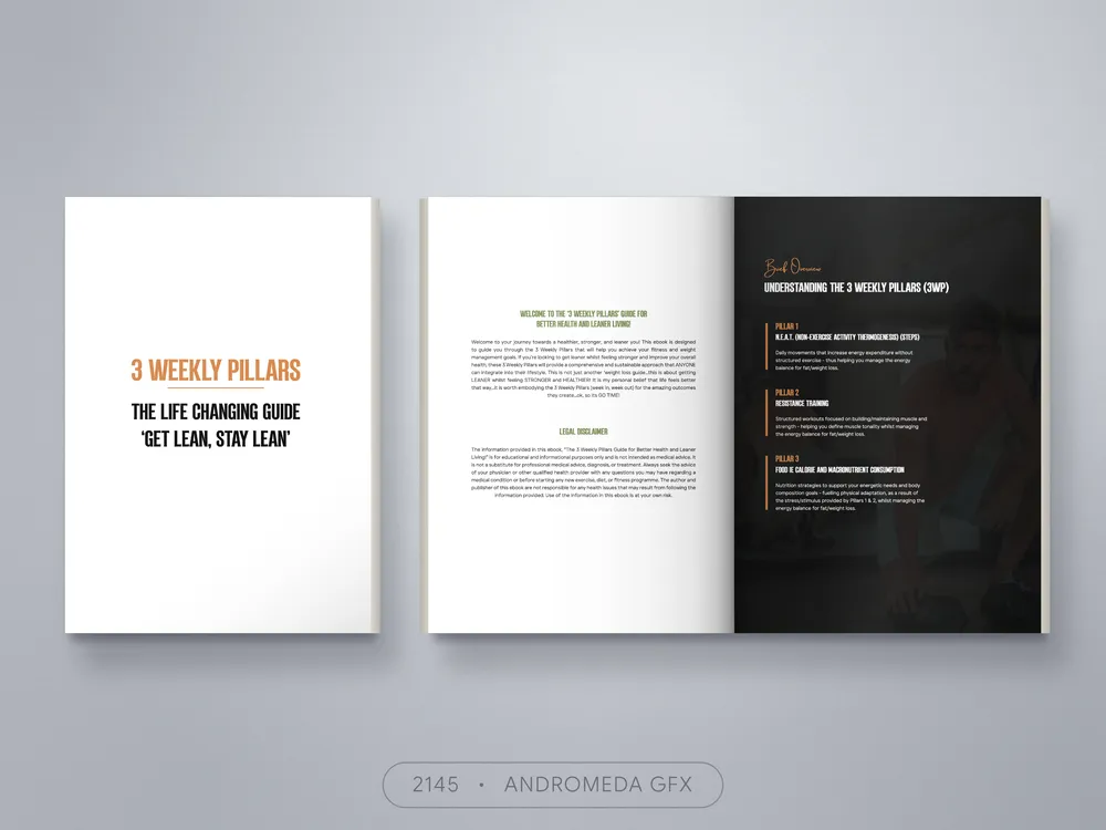 Guide design by Andromeda GFX. guide design, report design, agency report, corporate design.