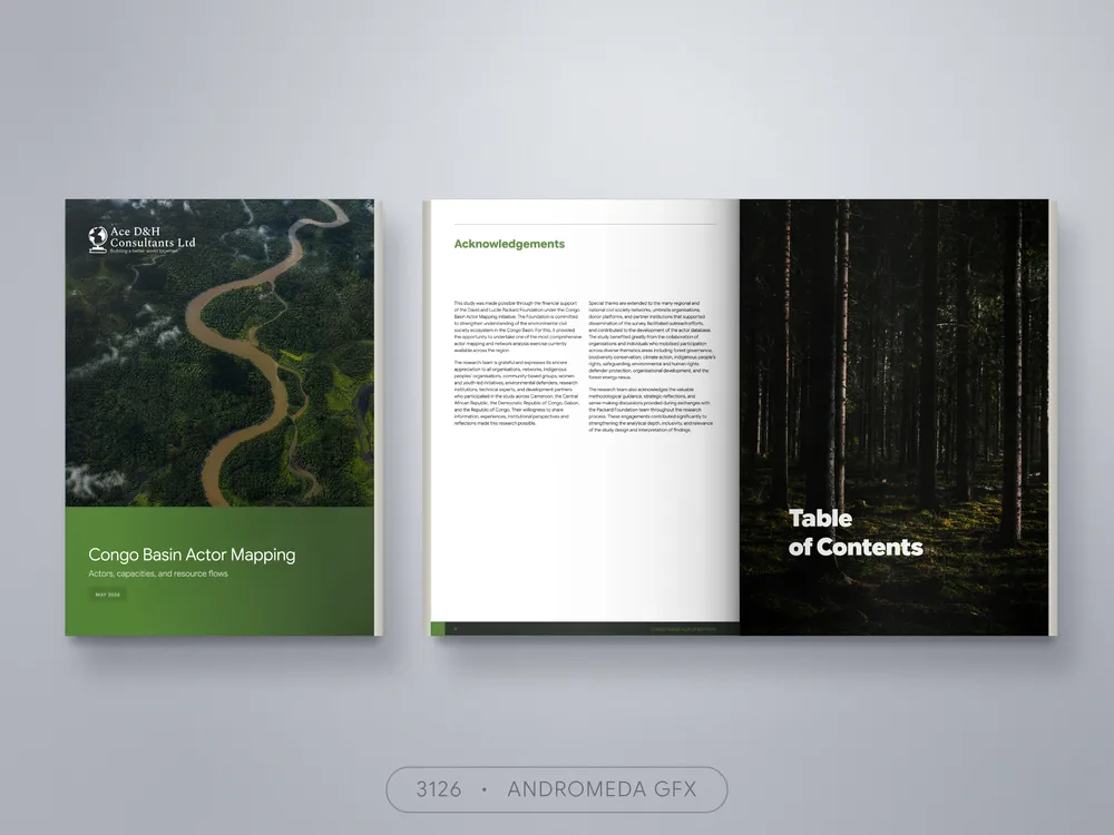 Report design by Andromeda GFX. report design, report design, agency report, corporate design.