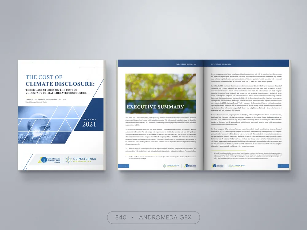 Report design by Andromeda GFX. report design, report design, agency report, corporate design.