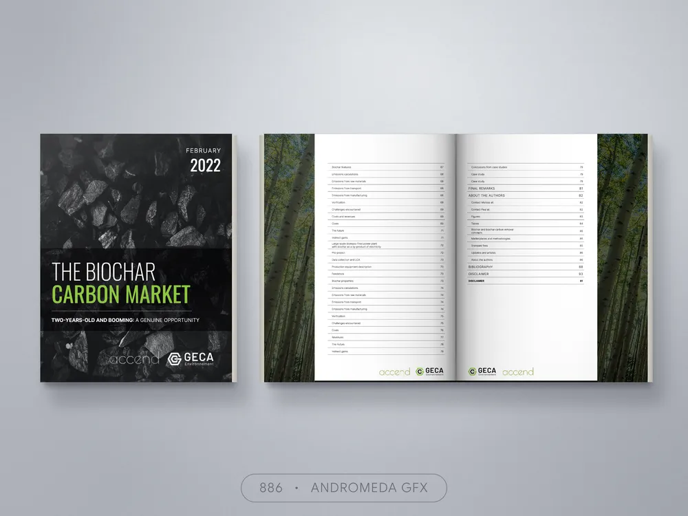 Report design by Andromeda GFX. report design, report design, agency report, corporate design.