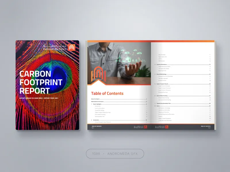 Carbon Footprint: Report design by Andromeda GFX. report design, report design, agency report.