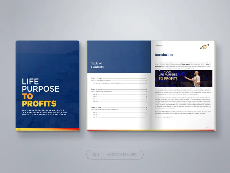 Online Business: Report design by Andromeda GFX. report design, report design, agency report.